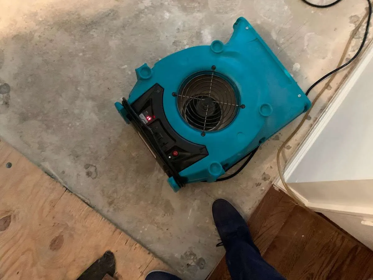 Air mover drying subfloor during Commercial Water Damage Restoration in Newton